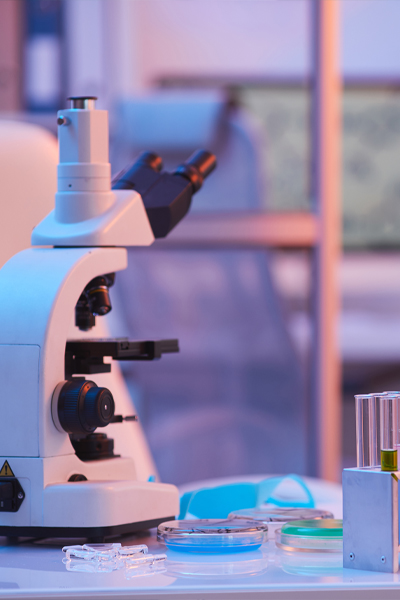 环境模拟试验箱